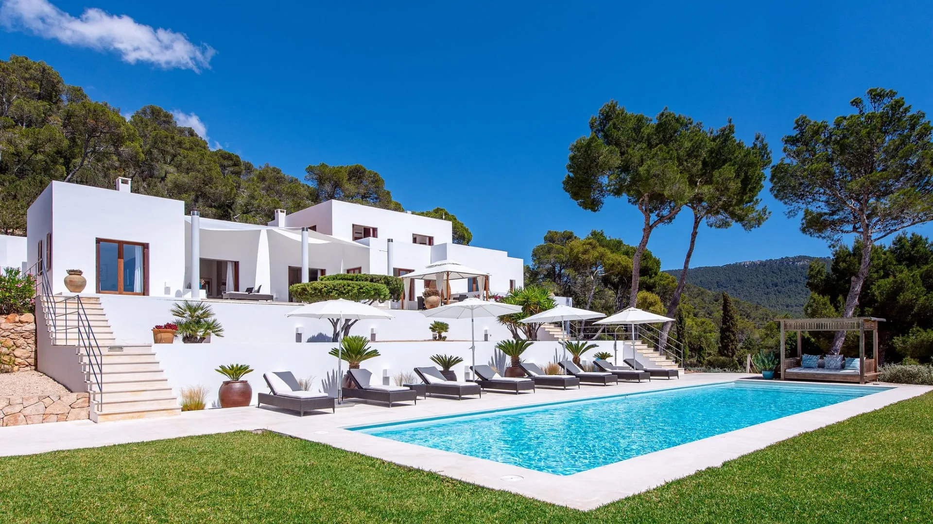 Villa Paloma