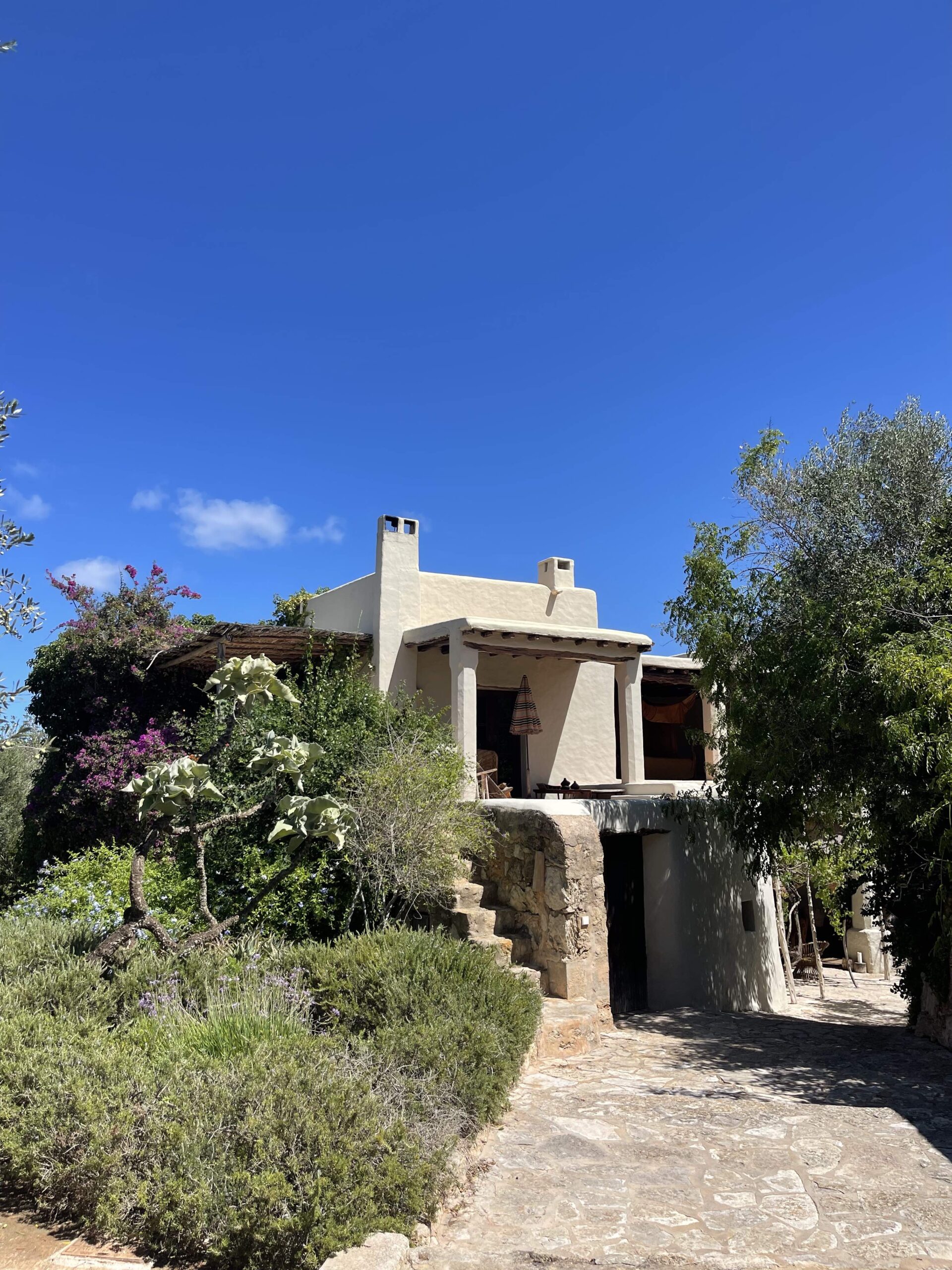 FINCA VICENT